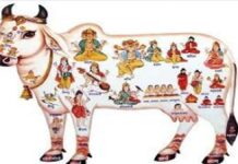 देश-प्रदेश में एक साथ उठेगी आवाज: गौ माता को मिले राष्ट्रमाता का दर्जा, गौहत्या पर लगे पूर्ण प्रतिबंध May Mother Cow be granted the status of 'Mother of the Nation'.