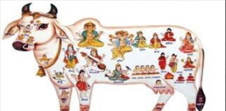 देश-प्रदेश में एक साथ उठेगी आवाज: गौ माता को मिले राष्ट्रमाता का दर्जा, गौहत्या पर लगे पूर्ण प्रतिबंध May Mother Cow be granted the status of 'Mother of the Nation'.