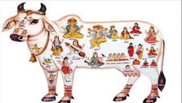 May Mother Cow be granted the status of 'Mother of the Nation'. May Mother Cow be granted the status of 'Mother of the Nation'.