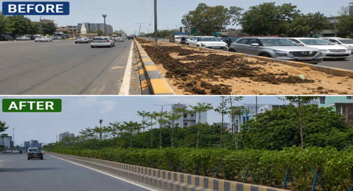 JDA's Green and Beautification Campaign