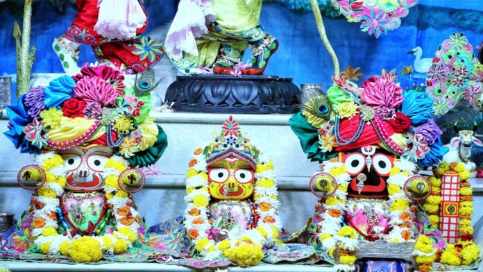 Devotees welcomed Lord Jagannath after washing the 'Mausi's house' (Aunt's house). Devotees welcomed Lord Jagannath after washing the 'Mausi's house' (Aunt's house).
