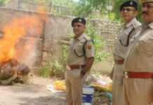 जयपुर ग्रामीण पुलिस ने नष्ट किए 19.43 लाख रुपये के मादक पदार्थ Jaipur Rural Police destroyed narcotics worth ₹19.43 lakh.
