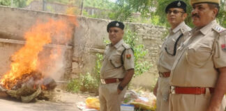 जयपुर ग्रामीण पुलिस ने नष्ट किए 19.43 लाख रुपये के मादक पदार्थ Jaipur Rural Police destroyed narcotics worth ₹19.43 lakh.