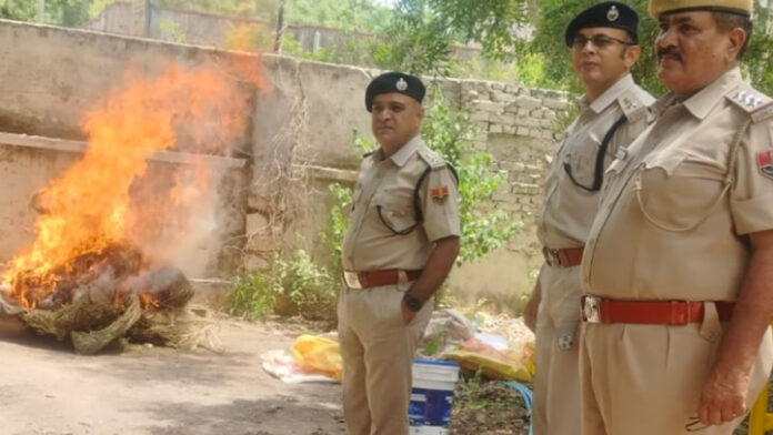 Jaipur Rural Police destroyed narcotics worth ₹19.43 lakh.