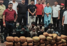 ओडिशा से जयपुर लाई जा रही 150 किलो गांजे की खेप जब्त