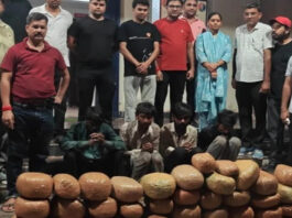 ओडिशा से जयपुर लाई जा रही 150 किलो गांजे की खेप जब्त