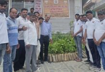 एक पेड़ माँ के नाम अभियान के तहत नि:शुल्क पौधों का वितरण