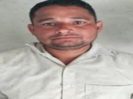 2.55 किलो गांजे के साथ तस्कर गिरफ्तार Smuggler arrested with 2.55 kg of cannabis.