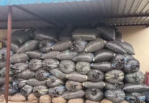 तीन करोड़ का मादक पदार्थ सहित दो तस्कर गिरफ्तार Two smugglers arrested with narcotics worth ₹3 crore.
