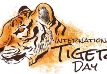 अंतरराष्ट्रीय बाघ दिवस पर होगा ‘बाघ संरक्षण-संवाद’ 'Tiger Conservation Dialogue' to be held on International Tiger Day