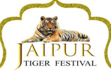 जयपुर टाइगर फेस्टिवल में बाघ संरक्षण पर मंथन 29 जुलाई को Tiger Festival