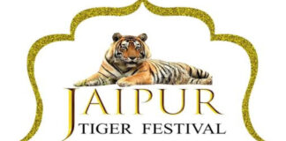 जयपुर टाइगर फेस्टिवल में बाघ संरक्षण पर मंथन 29 जुलाई को Tiger Festival