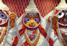 नेत्रोत्सव पर 14 दिन बाद भक्तों को दिए दर्शन