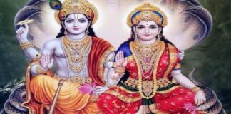 योगिनी एकादशी शुक्रवार को: भगवान विष्णु की आराधना का महापर्व Yogini Ekadashi on Friday
