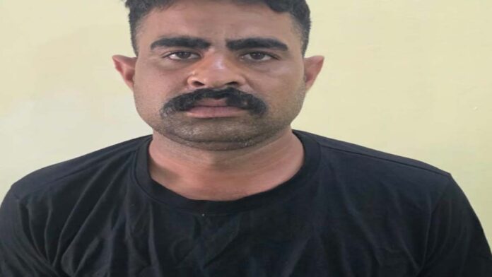 aalu