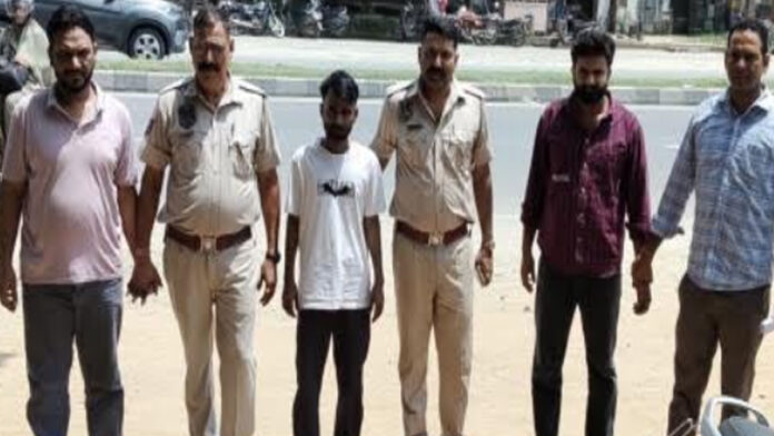 Three gamblers arrested near the nursery. Three gamblers arrested near the nursery.