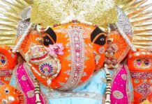 मंगल-पुष्य पर श्री नहर के गणेश जी महाराज का दूर्वा मार्जन से पंचामृत अभिषेक
