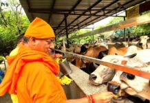 हरियाली अमावस्या पर श्री अमरापुर तीर्थ पर उमड़ी भक्तों की भीड़