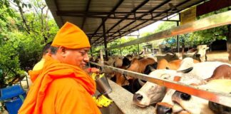 हरियाली अमावस्या पर श्री अमरापुर तीर्थ पर उमड़ी भक्तों की भीड़
