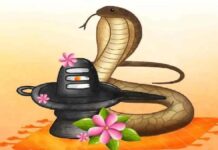 नागपंचमी का बन रहा दुर्लभ ‘अक्षय-संजीवनी’ महायोग, शिवालयों में तैयारियां पूरी