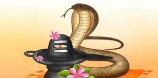 नागपंचमी का बन रहा दुर्लभ ‘अक्षय-संजीवनी’ महायोग, शिवालयों में तैयारियां पूरी