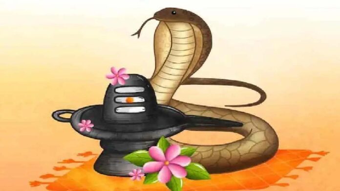 nag panchmi