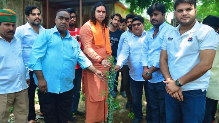 Distribution of 501 free saplings Distribution of 501 free saplings