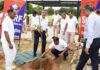 एसडीआरएफ बटालियन मुख्यालय में सघन पौधारोपण अभियान शुरू Intensive tree plantation drive launched at SDRF battalion headquarters.