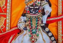 राधा गिरधर लाल की निकली भव्य शोभायात्रा