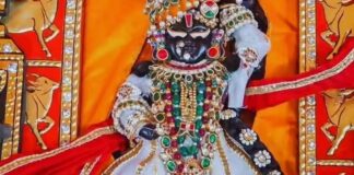 राधा गिरधर लाल की निकली भव्य शोभायात्रा