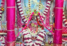 पवित्रा एकादशी: श्री सरस निकुंज में पुत्रदा एकादशी पर आयोजित हुआ झूला महोत्सव