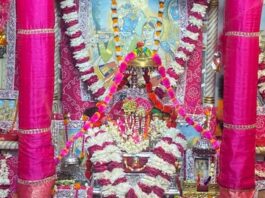 पवित्रा एकादशी: श्री सरस निकुंज में पुत्रदा एकादशी पर आयोजित हुआ झूला महोत्सव