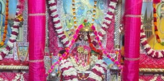 पवित्रा एकादशी: श्री सरस निकुंज में पुत्रदा एकादशी पर आयोजित हुआ झूला महोत्सव