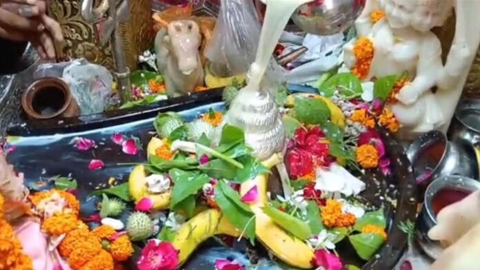 shiv