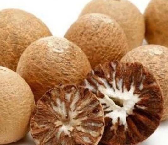 सुपारी: भारतीय संस्कृति की अमिट पहचान- ज्योतिषाचार्य वेद प्रकाश पांडे