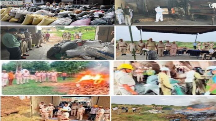 Major anti-drug campaign in Rajasthan: Thousands of kilograms of narcotics destroyed. Major anti-drug campaign in Rajasthan: Thousands of kilograms of narcotics destroyed.