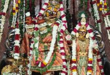 द्वापर युग जैसा संयोग: 31 तोपों की गर्जना के बीच मनेगा गोविंद देव जी का जन्मोत्सव A Dvapara Yuga-like occasion: Govind Dev Ji’s birth anniversary to be celebrated amidst the roar of 31 cannons.