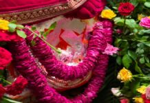हरियाली अमावस्या पर भोमिया जी महाराज की महाआरती में उमड़े श्रद्धालु Devotees thronged the Maha Aarti of Bhomiya Ji Maharaj on Hariyali Amavasya.