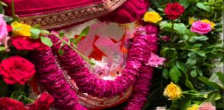 हरियाली अमावस्या पर भोमिया जी महाराज की महाआरती में उमड़े श्रद्धालु Devotees thronged the Maha Aarti of Bhomiya Ji Maharaj on Hariyali Amavasya.
