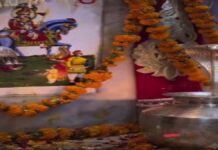 गोगाजी को पुए-पकोड़ी का भोग लगाकर अर्पित की राखियां