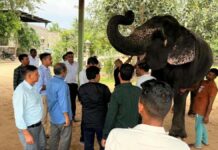 गणेश चतुर्थी पर लगा हाथी गांव में हाथियों के लिए विशेष चिकित्सा शिविर Special medical camp for elephants organized at Hathi Gaon on Ganesh Chaturthi.