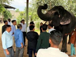 गणेश चतुर्थी पर लगा हाथी गांव में हाथियों के लिए विशेष चिकित्सा शिविर Special medical camp for elephants organized at Hathi Gaon on Ganesh Chaturthi.