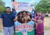 निकाय चुनाव में मतदाताओं ने दिखाया दम: जयपुर जिले में 87.06% मतदान Voters demonstrated their strength in the civic body elections.