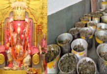 मोती डूंगरी गणेश मंदिर में सिंजारा की मेहंदी के लिए उमड़ा जनसैलाब