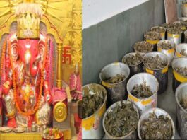 मोती डूंगरी गणेश मंदिर में सिंजारा की मेहंदी के लिए उमड़ा जनसैलाब