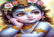 अमरापुर स्थान में धूमधाम से मनेगी जन्माष्टमी