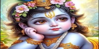 अमरापुर स्थान में धूमधाम से मनेगी जन्माष्टमी