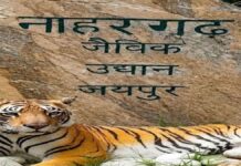 नाहरगढ़ बायोलॉजिकल पार्क में बाघ के हमले के बाद तीन अधिकारी एपीओ