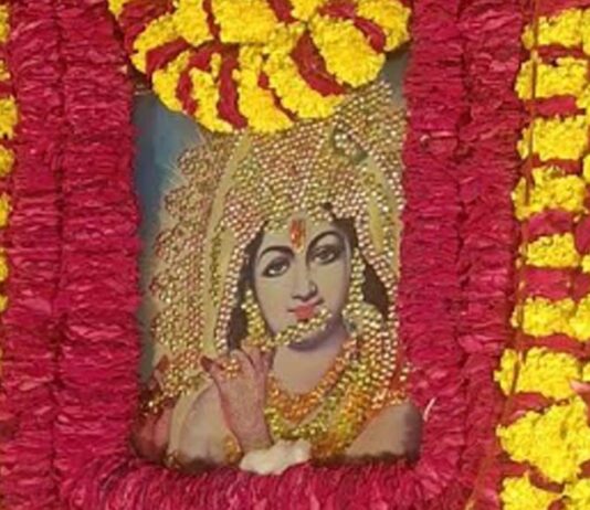 पंचमुखी हनुमान मंदिर में सजा बाबा श्याम का अलौकिक वन विहार दरबार