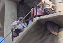 पानी की टंकी पर चढ़े युवक को उतारने पहुंची पुलिस पर मधुमक्खियों का हमला